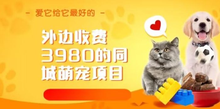 外边收费3980的同城萌宠项目,用最冷门的玩法冲击最热门的市场【揭秘】-大牛创业笔记