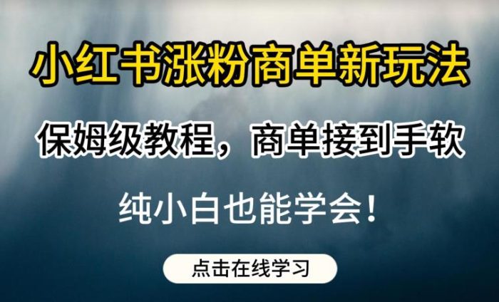 小红书商单新玩法揭秘!保姆级教程,轻松涨粉赚零花【附带教程】-大牛创业笔记