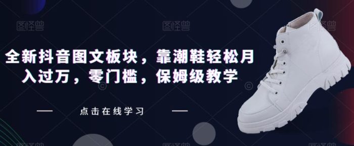 全新抖音新图文板块:潮鞋轻松月入过万,零门槛保姆级教学-大牛创业笔记