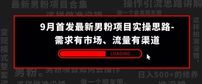 9月首发最新男粉项目实操思路-需求有市场,流量有渠道【揭秘】-大牛创业笔记