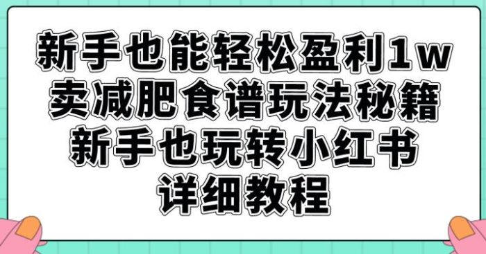 小白也能轻松盈利1W，卖减肥食谱玩法秘籍，新手也玩转小红书详细教程【揭秘】-大牛创业笔记