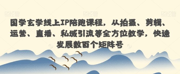 国学玄学线上IP陪跑课程，从拍摄、剪辑、运营、直播、私域引流等全方位教学，快速发展数百个矩阵号-大牛创业笔记