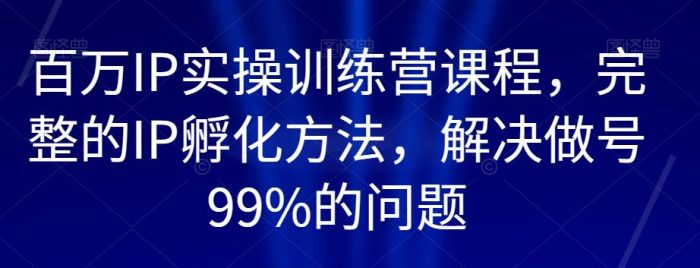 百万IP实操训练营课程,完整的IP孵化方法,解决做号99%的问题-大牛创业笔记