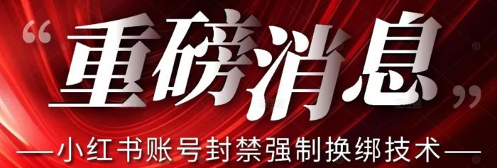 【最新】小红书账号封禁强制换绑技术可日赚300-大牛创业笔记