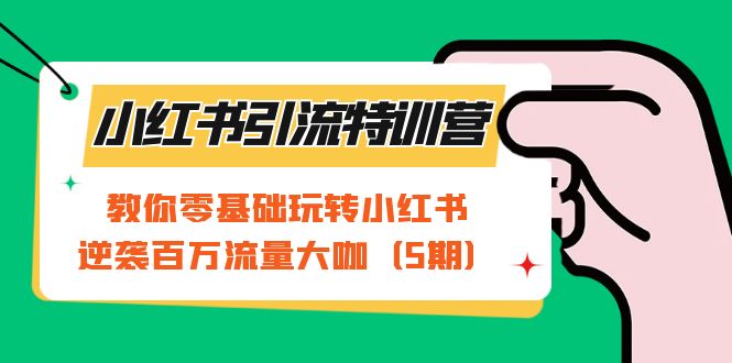 小红书引流特训营-第5期：教你零基础玩转小红书，逆袭百万流量大咖-微众资源