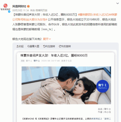 咪蒙团队转型之路：短剧行业暴利赚钱法，年收入近2亿！-大牛创业笔记