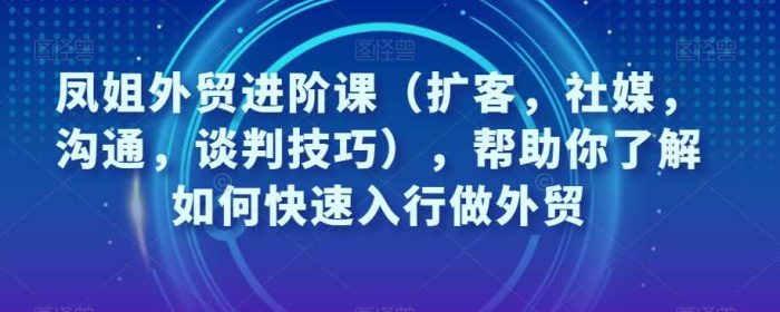 凤姐外贸进阶课（扩客，社媒，沟通，谈判技巧），帮助你了解如何快速入行做外贸-大牛创业笔记