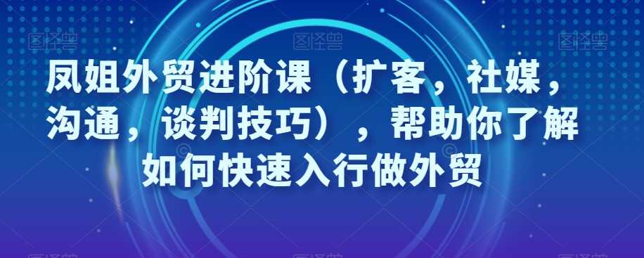 图片[1]-凤姐外贸进阶课（扩客，社媒，沟通，谈判技巧），帮助你了解如何快速入行做外贸-阿灿说钱