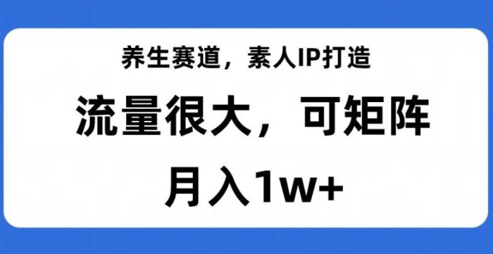 养生赛道IP打造，流量巨大，教你月入1W+【完整揭秘】-大牛创业笔记