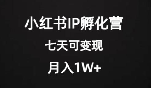 图片[1]-价值2000+的小红书IP孵化营项目，超级大蓝海，七天即可开始变现，稳定月入1W+-阿灿说钱