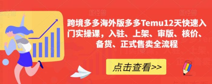 跨境多多海外版多多TEMU12天快速入门实操课,轻松掌握全流程,成就跨境电商之路!-大牛创业笔记
