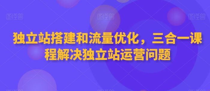 一套包括独立站搭建、流量优化和运营问题解决的综合课程-大牛创业笔记
