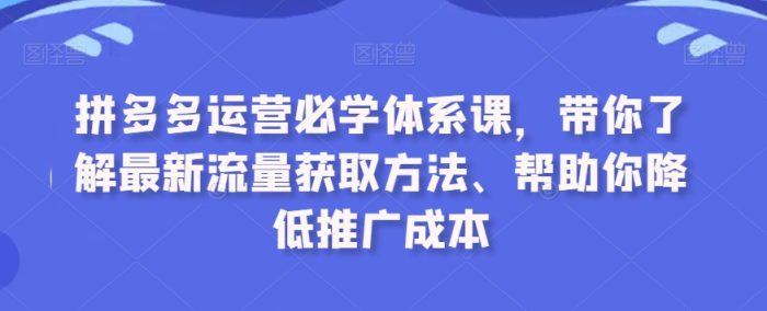 拼多多运营必学课程:最新流量获取技巧,降低推广成本-大牛创业笔记