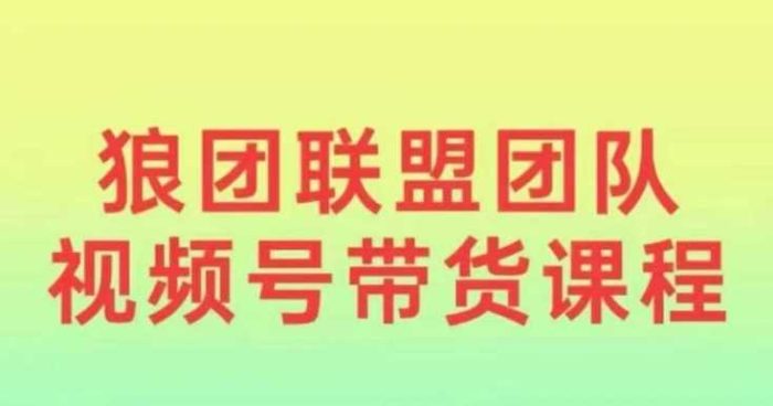 狼团联盟2024视频号带货,0基础小白快速入局视频号-大牛创业笔记