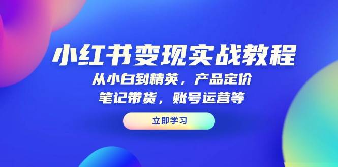 小红书变现实战教程：从小白到精英，产品定价，笔记带货，账号运营等 -1