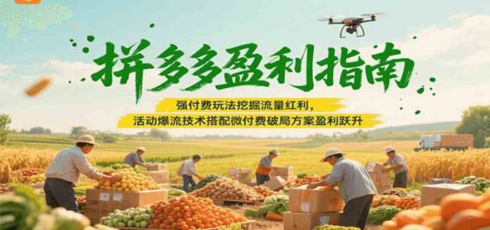 拼多多盈利指南：强付费玩法挖掘流量红利，活动爆流技术搭配微付费方案实现盈利跃升-大牛创业笔记