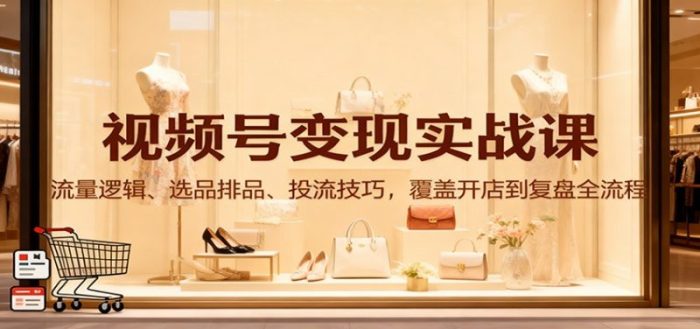 视频号变现实战课：流量逻辑、选品排品、投流技巧，覆盖开店到复盘全流程-大牛创业笔记