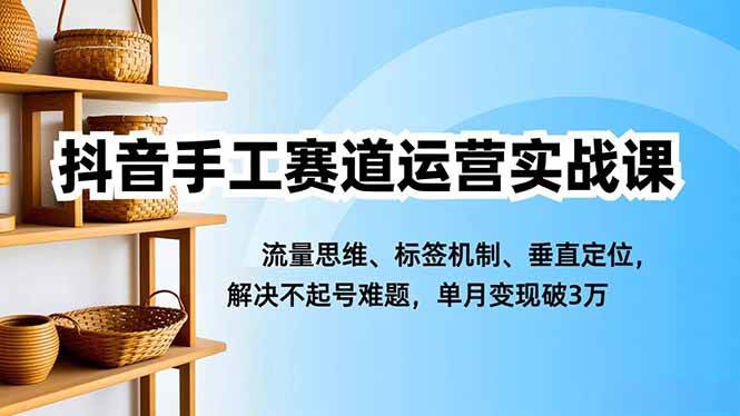 抖音手工赛道运营实战课，流量思维、标签机制、垂直定位，解决不起号难题，单月变现破3万-大牛创业笔记